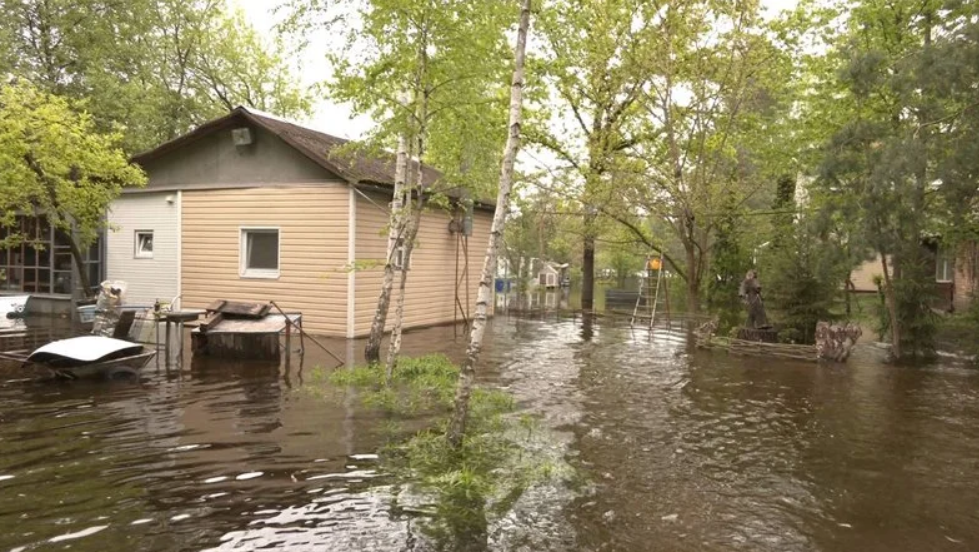 Дома оказались отрезанными от суши: в Черкасской области часть жителей села пришлось эвакуировать из-за подтопления. Фото и видео