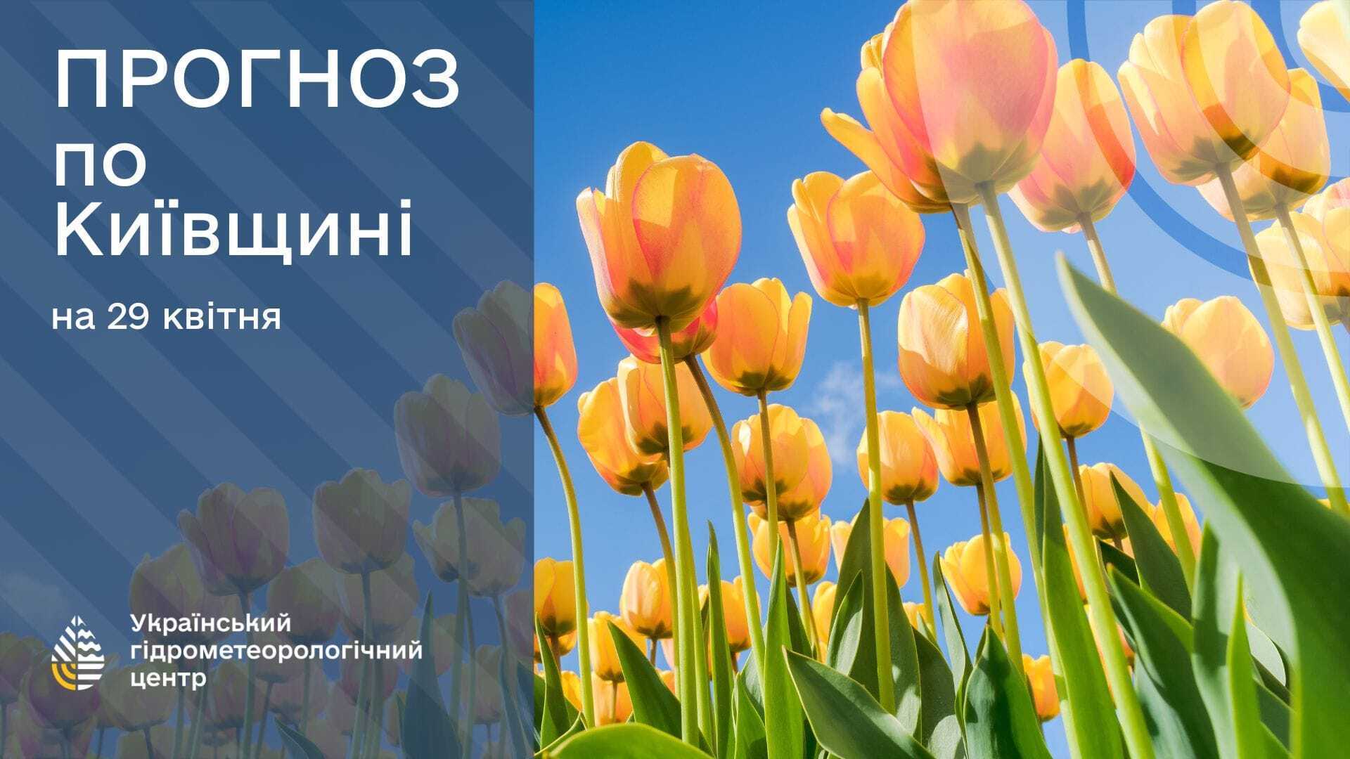 Прогноз погоди у Київській області.