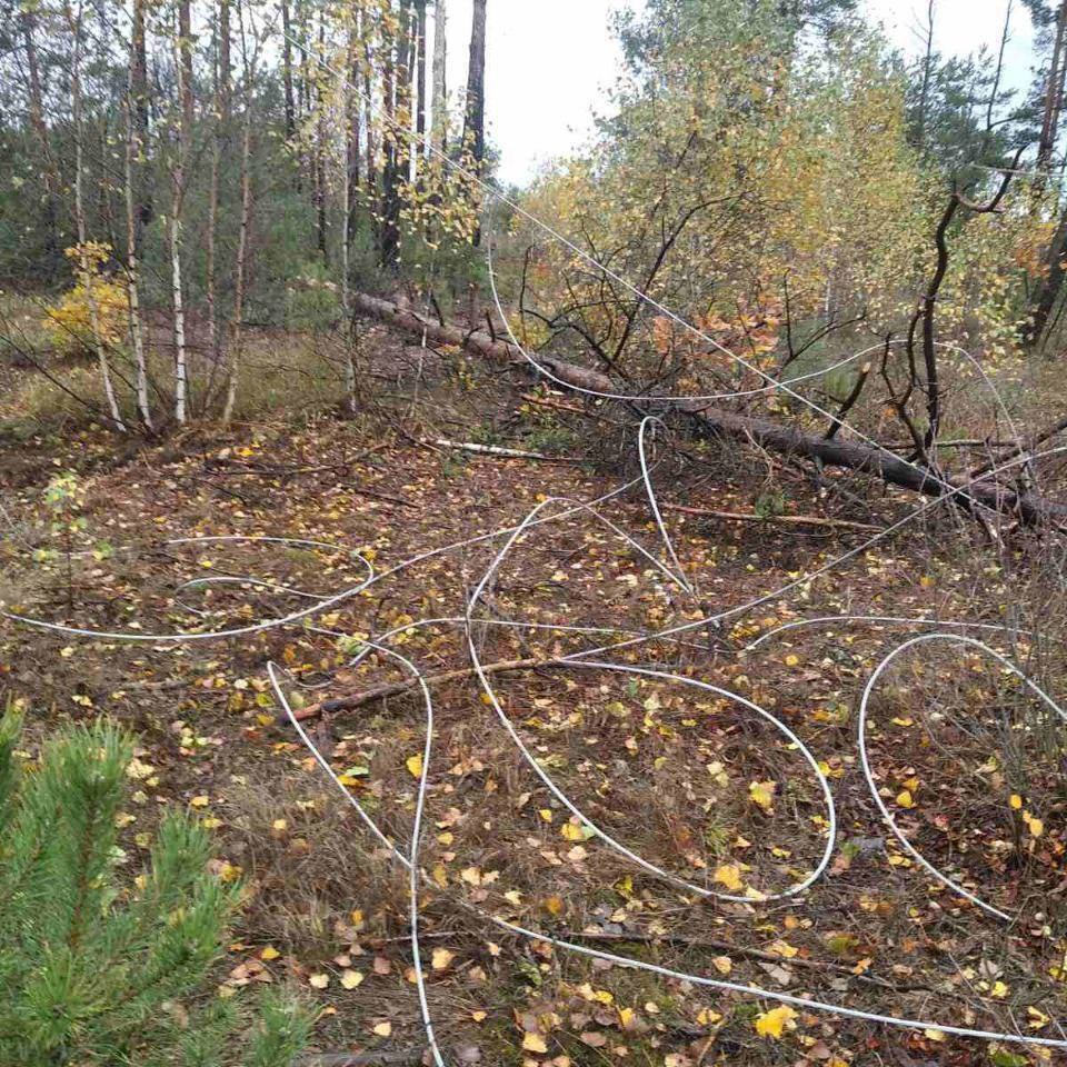 Вітер валив дерева і зривав шифер: у ДСНС розповіли про наслідки негоди на Київщині. Фото і відео