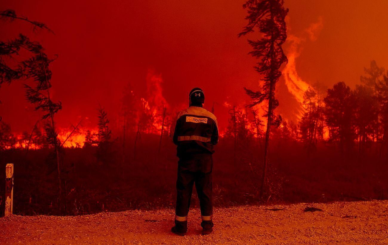 После наводнений в России начались лесные пожары: пламя охватило сотни гектаров. Фото и видео