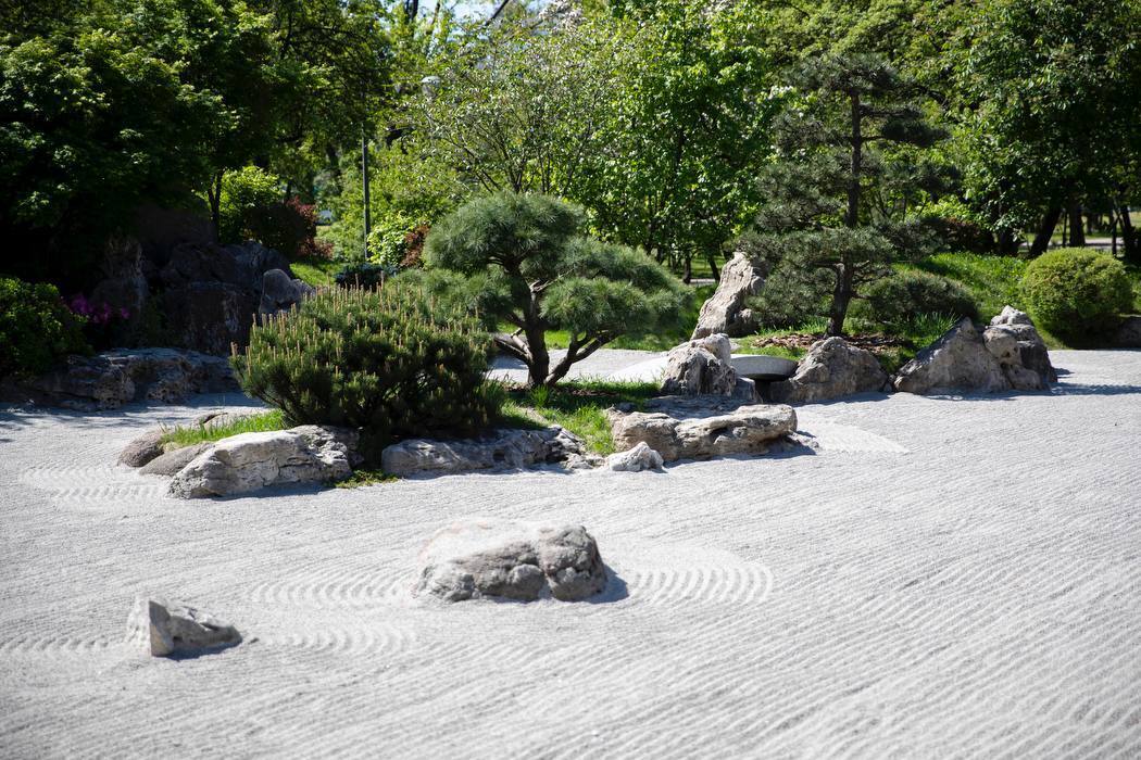 Кличко вместе с послом Японии открыли обновленный сад камней: где увидеть красоту. Фото