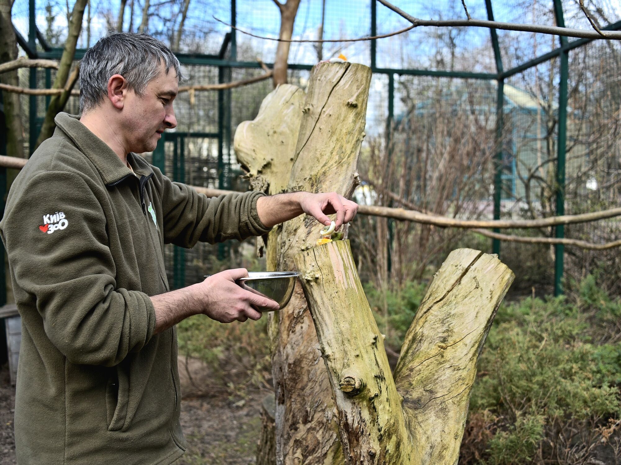 Условия, приближенные к естественным: в зоопарке Киева в летнее имение переселили экзотических волнистых калао. Фото и видео