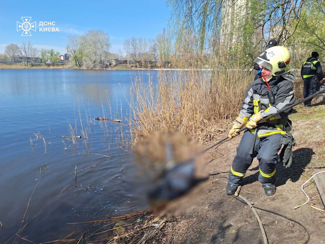 В Киеве на Оболони в озере обнаружили тело мужчины: подробности трагедии