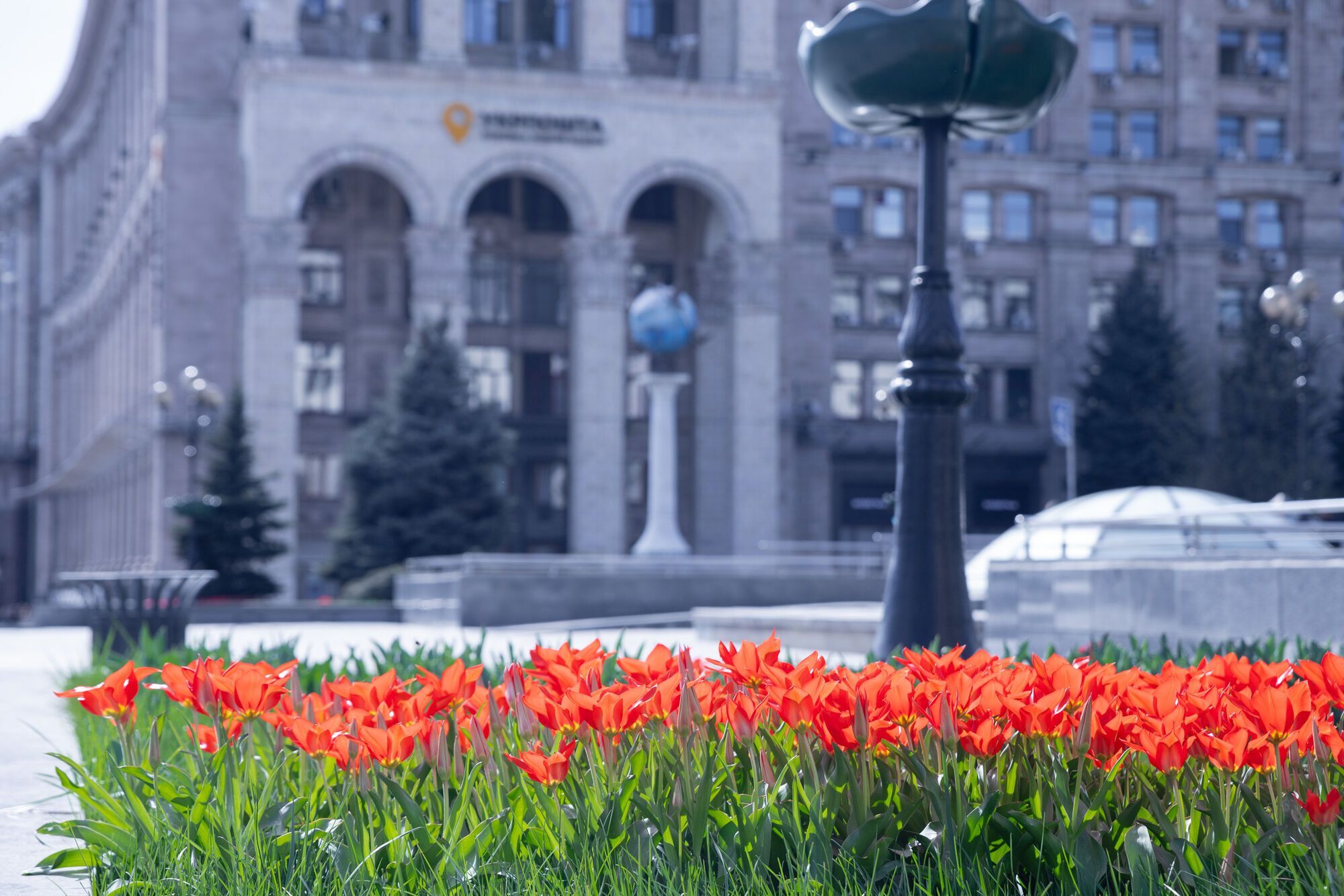 У Києві почали цвісти тюльпани: де можна побачити красу. Фото