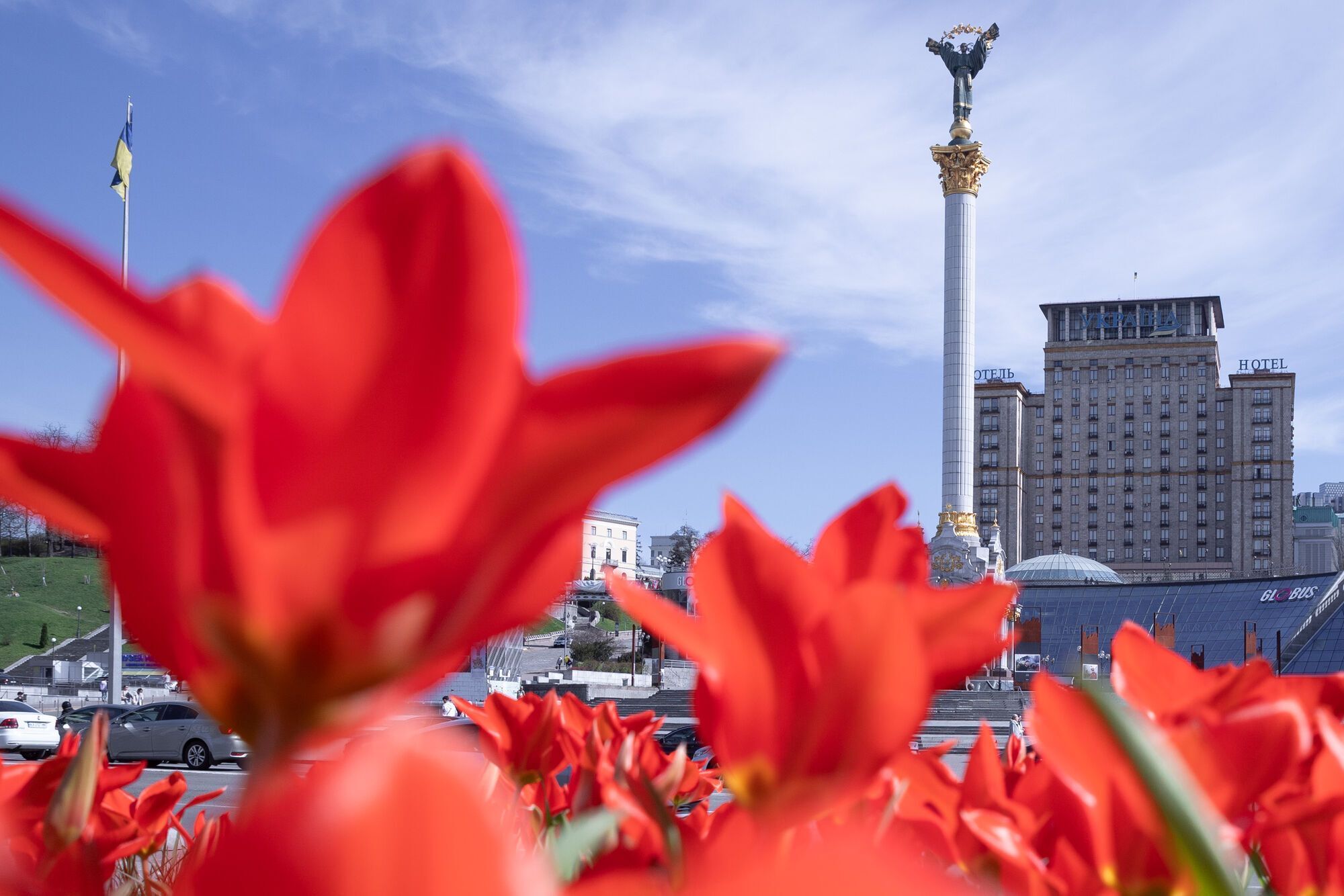 В Киеве начали цвести тюльпаны: где можно увидеть красоту. Фото