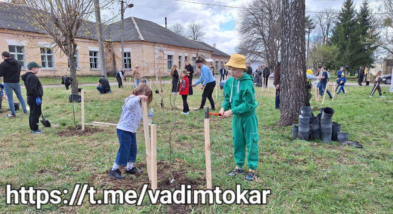 "Гай детских снов": в Киевской области в память об убитых оккупантами маленьких украинцах высадили 100 деревьев. Фото