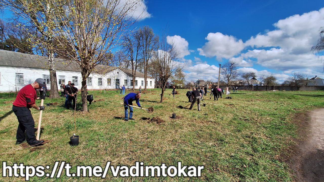 "Гай детских снов": в Киевской области в память об убитых оккупантами маленьких украинцах высадили 100 деревьев. Фото