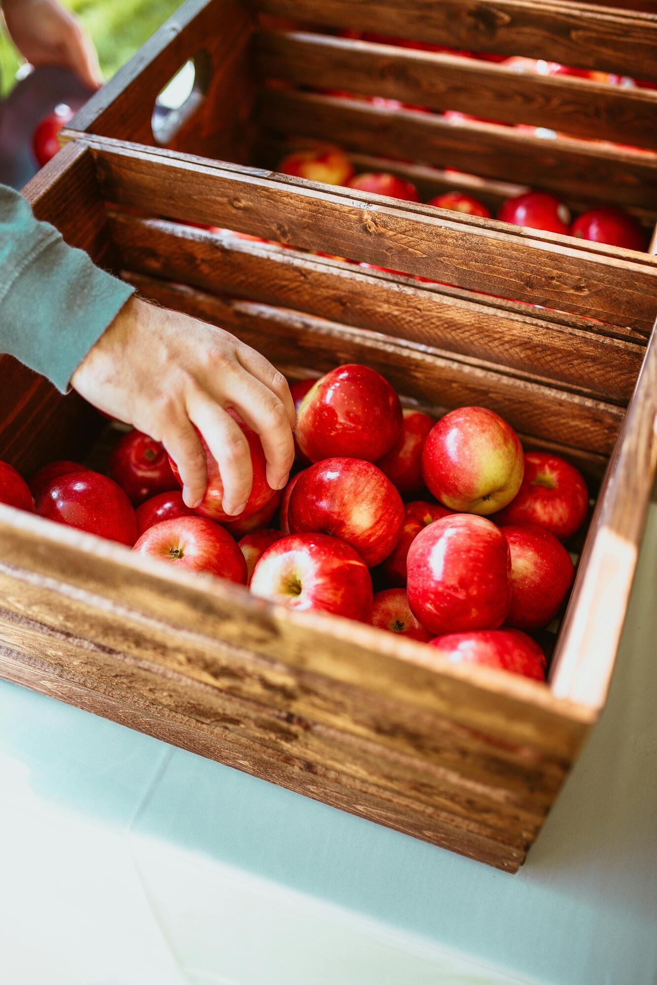 Один лайфхак родом із 1700-х років допоможе зберігати яблука набагато довше
