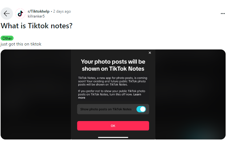 TikTok хоче запустити конкурента Instagram: як працюватиме додаток