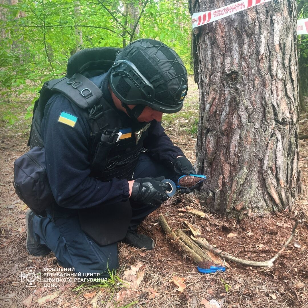 Под Киевом местный житель обнаружил в лесу боевые противопехотные гранаты. Подробности и фото
