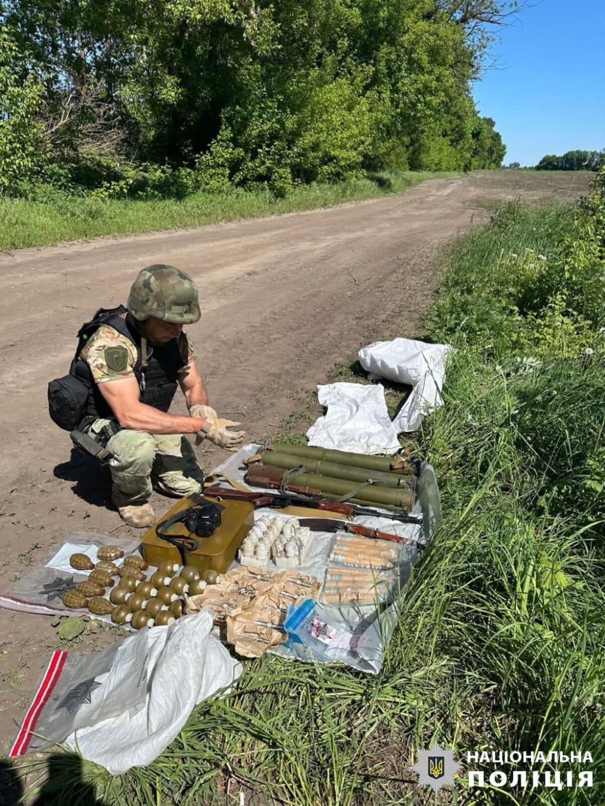 РПГ, гранати та автомат: на Київщині затримали чоловіка під час збуту цілого арсеналу зброї. Фото