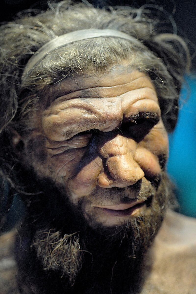Знайдено найдавніший з відомих вірусів людини, якому 50 000 років: тепер вчені хочуть їх "пробудити"