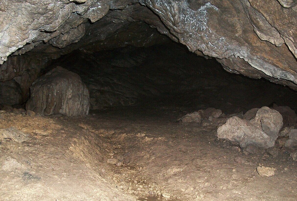 В Закарпатье взяли под особую охрану пещеру, в которой жили люди каменного века. Фото