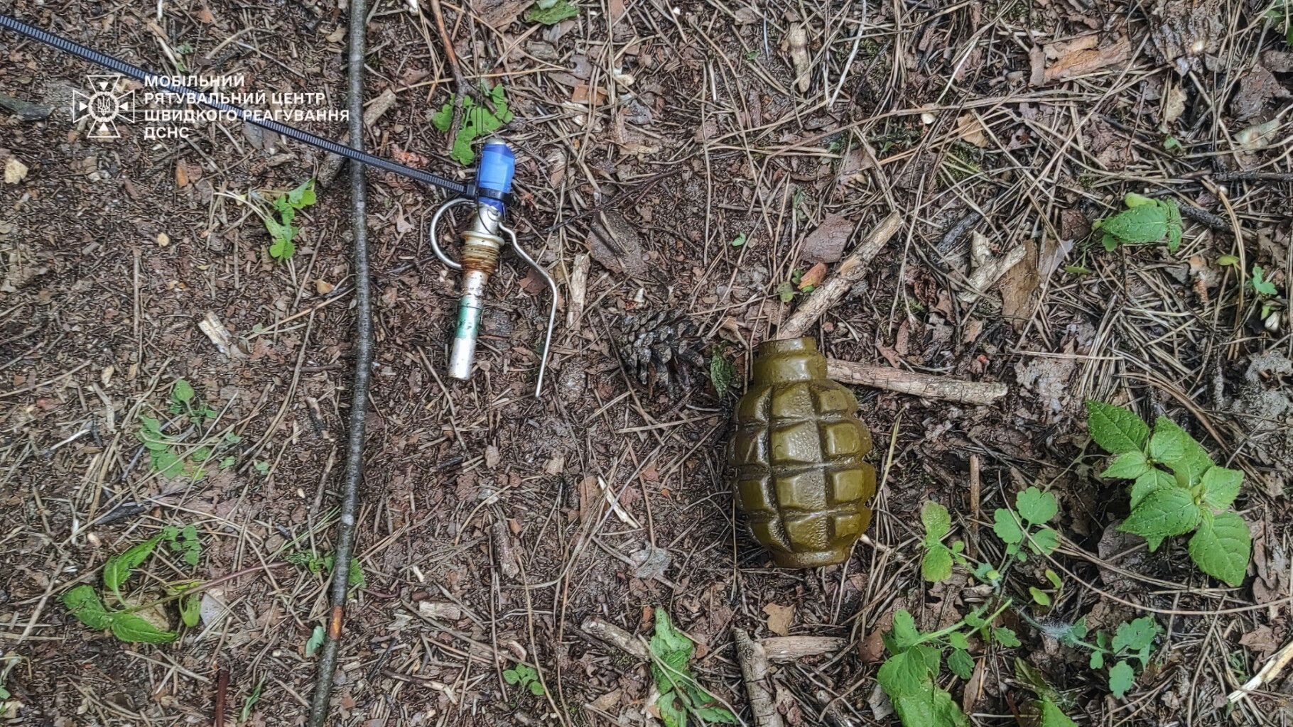 Під Києвом знайшли гранату Ф-1 на розтяжці, яку залишили російські окупанти. Фото