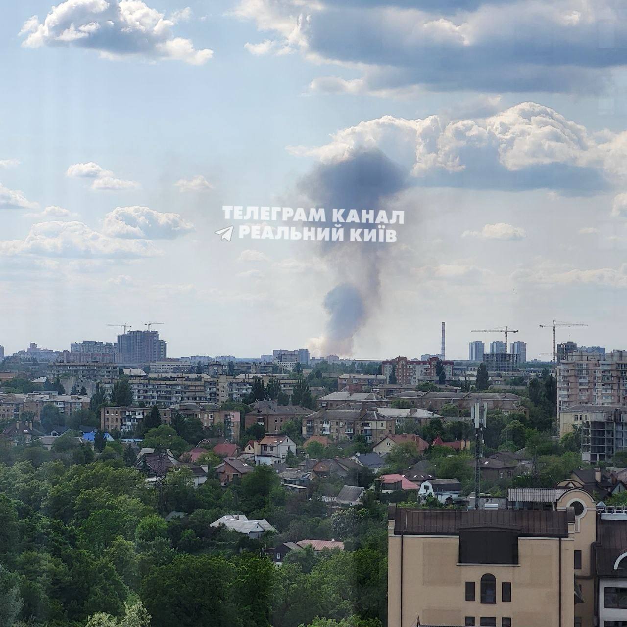 Над лісом піднявся великий стовп диму: на околиці Києва сталась сильна пожежа. Фото і відео qkxiqdxiqzriqdant