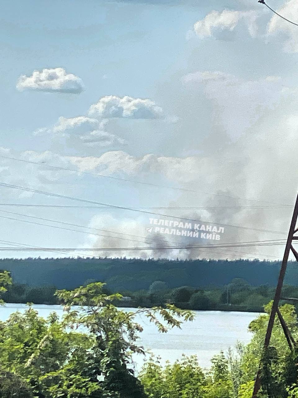 Над лісом піднявся великий стовп диму: на околиці Києва сталась сильна пожежа. Фото і відео