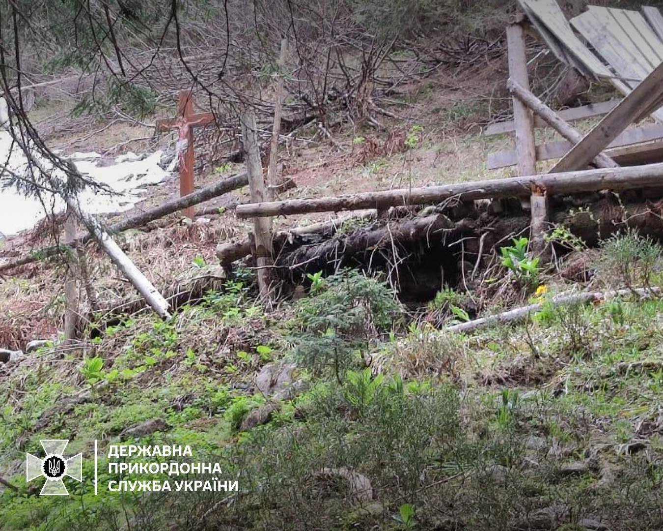 Опасно для жизни: пограничники предупредили уклонистов о медведях на границе с Румынией