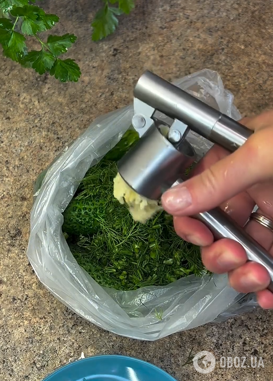 Швидкі малосольні огірки в пакеті: можна їсти вже через 4 години