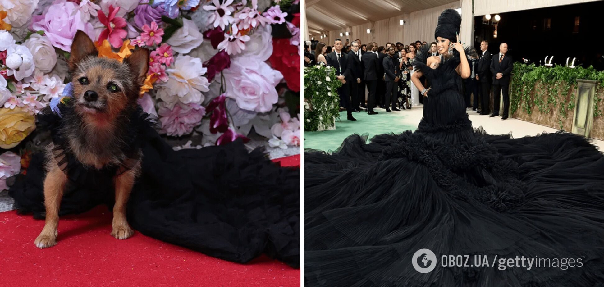 Собаки повторили образы звезд Met Gala 2024. Подборка фото, которые поднимут вам настроение