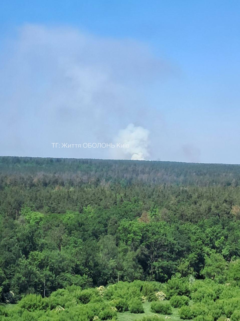 Над лісом здійнявся великий стовп диму: під Києвом виникла сильна пожежа. Фото і відео