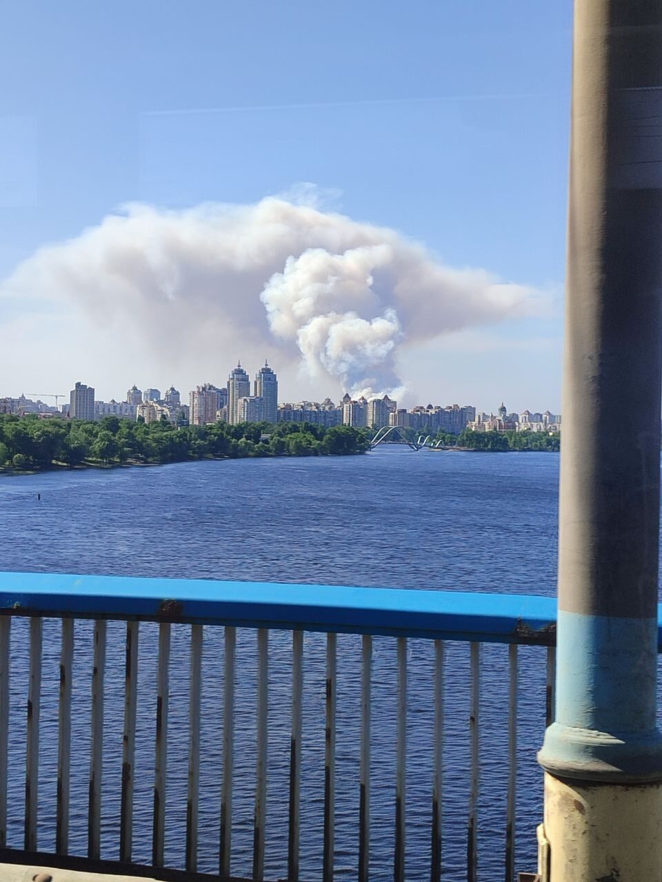 Над лесом поднялся большой столб дыма: под Киевом возник сильный пожар. Фото и видео