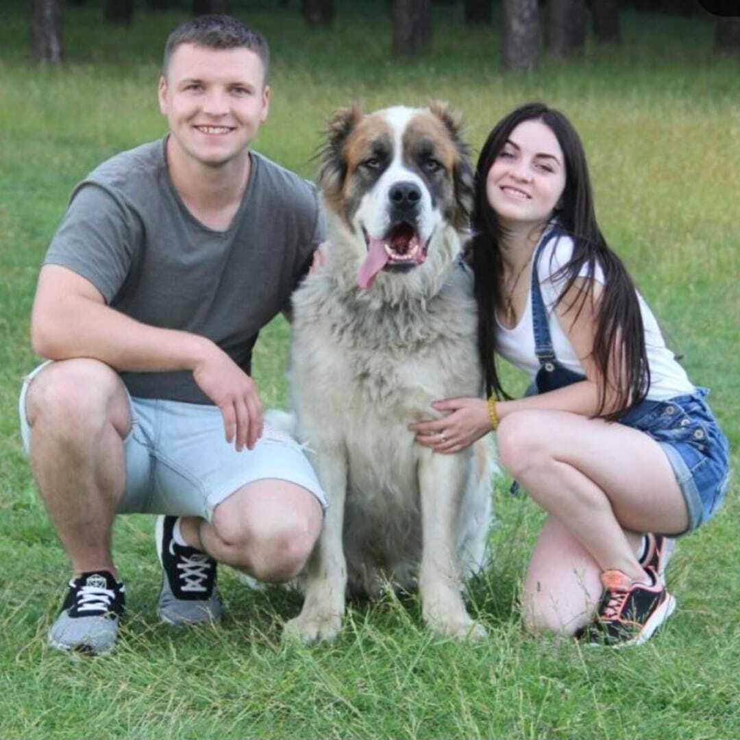 "Рем больше не ждет Сергея дома": умер пес пленного защитника "Азовстали"