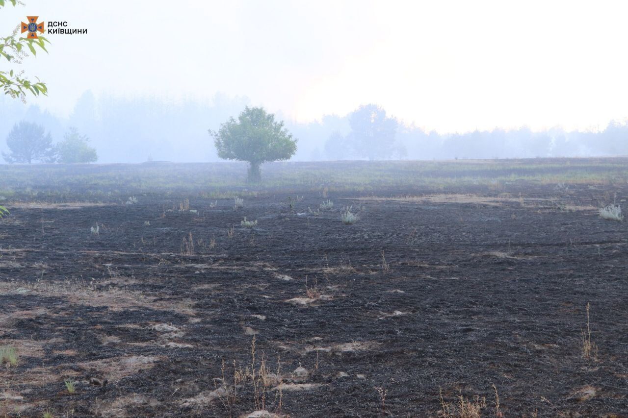 Над лісом здійнявся великий стовп диму: під Києвом виникла сильна пожежа. Фото і відео