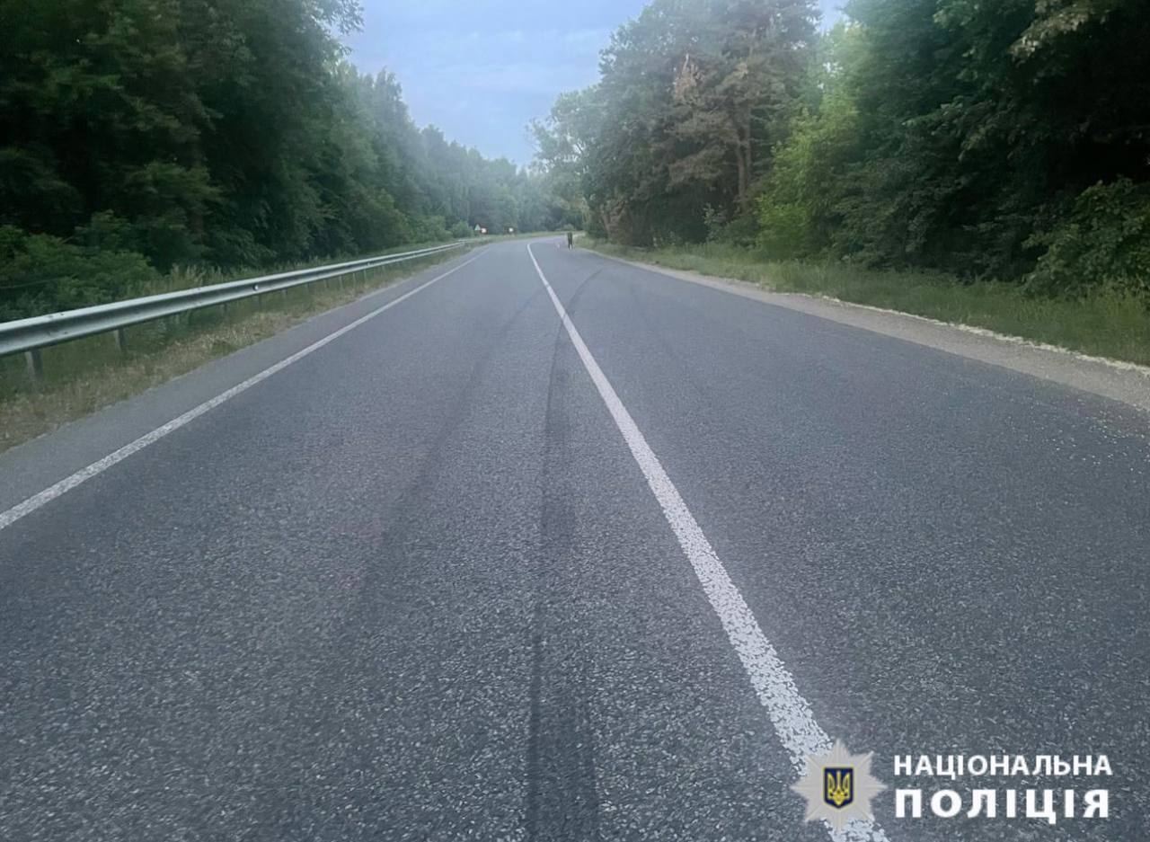 На Черкащині водій вилетів у кювет і загинув у палаючому авто: поліція розкрила деталі аварії. Фото 