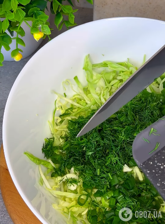 Салат з молодої капусти: як зі звичайного овочу створити літній шедевр