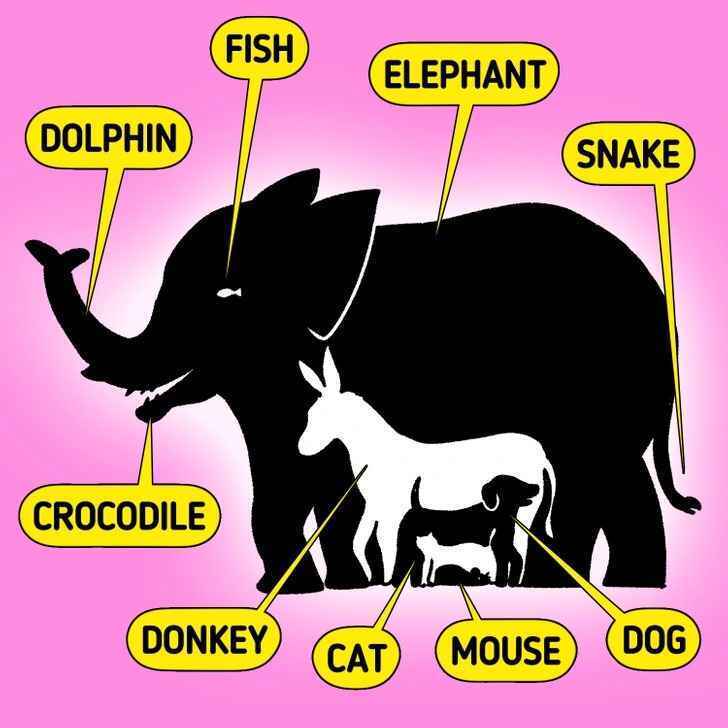 Найдите всех животных на картинке: головоломка для гениев