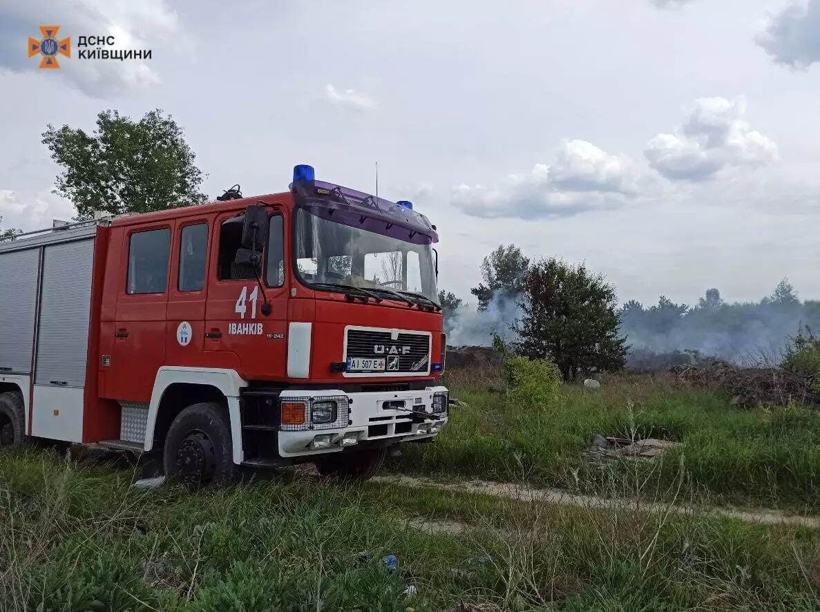 Помітили в купі сміття: на Київщині під час пожежі бійці ДСНС врятували маленького їжака. Фото