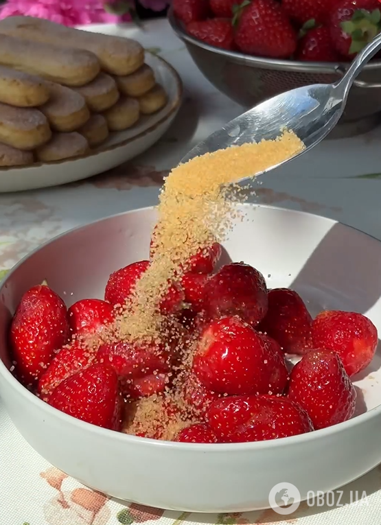 Как приготовить эффектное тирамису с клубникой: вариант самого вкусного летнего десерта