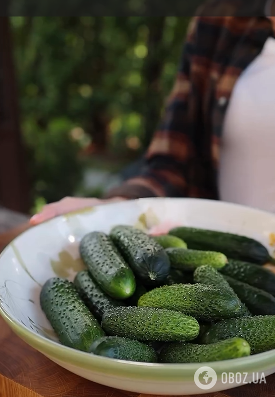 Маринованные огурцы с укропом и чесноком на скорую руку: идеально к шашлыку