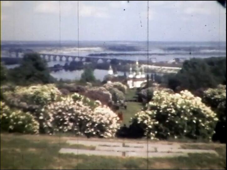 В сети показали, как выглядел сад сирени киевского ботсада Гришко 60 лет назад. Архивное видео