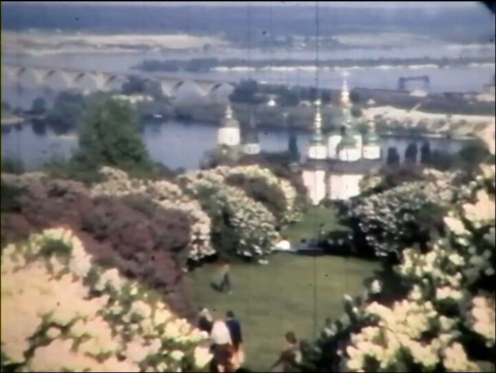 У мережі показали, який вигляд мав сад бузків київського ботсаду Гришка 60 років тому. Архівне відео