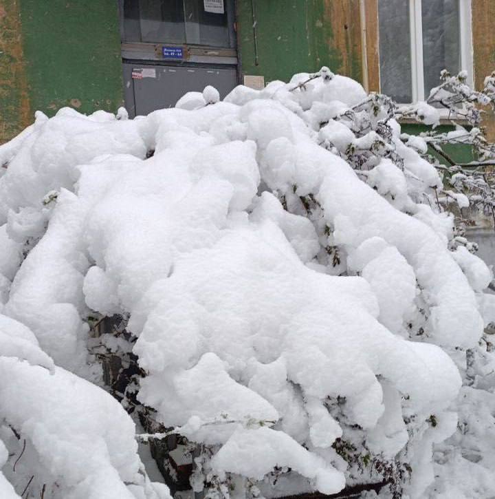 Россиян после наводнения засыпало снегом в мае: начались блекауты и ЧП на дорогах