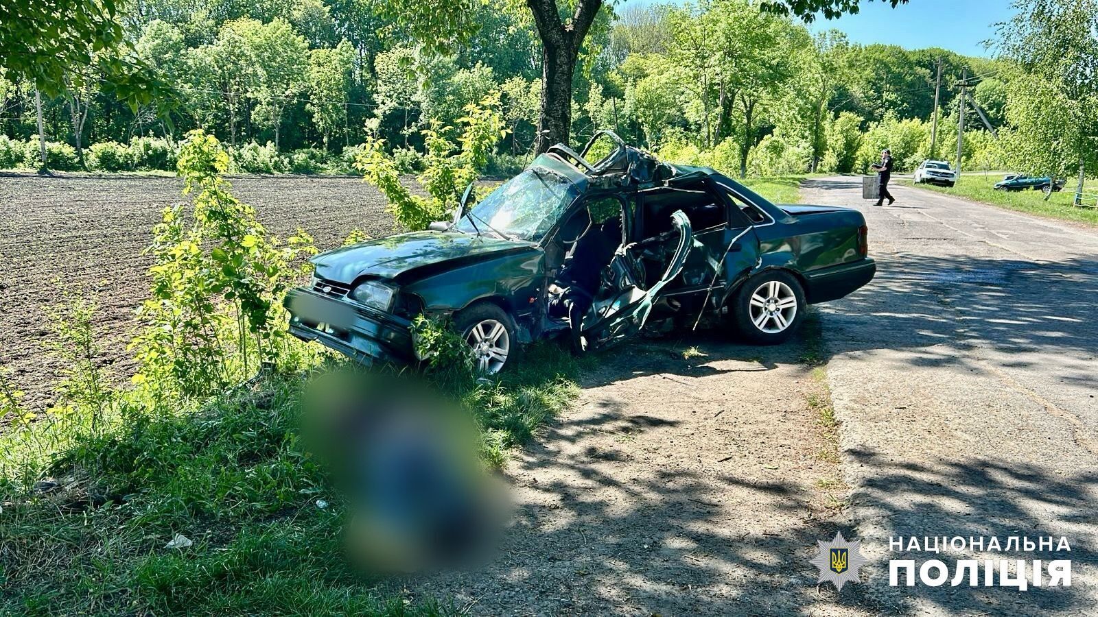 В Одесской области авто влетело в дерево: водитель погиб, пассажир был госпитализирован. Фото