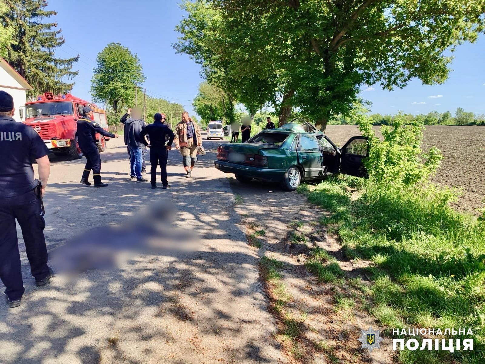 На Одещині авто влетіло у дерево: водій загинув, пасажира госпіталізували. Фото