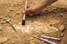 Рідкісний римський додекаедр, знайдений в Англії, спантеличив археологів. Фото