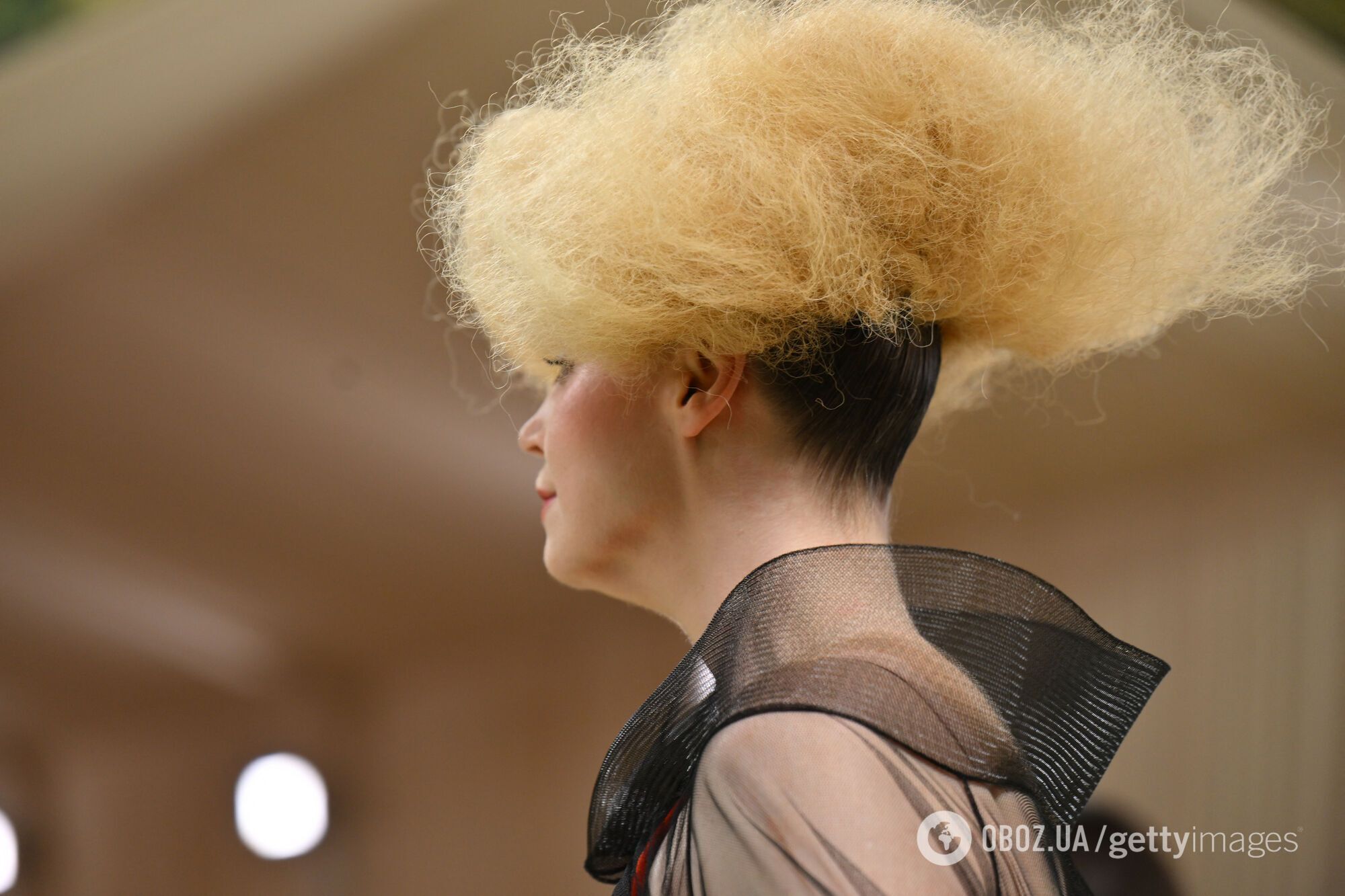 Схожа на гніздо лелеки. Який вигляд мала одна з найдивніших зачісок на Met Gala 2024