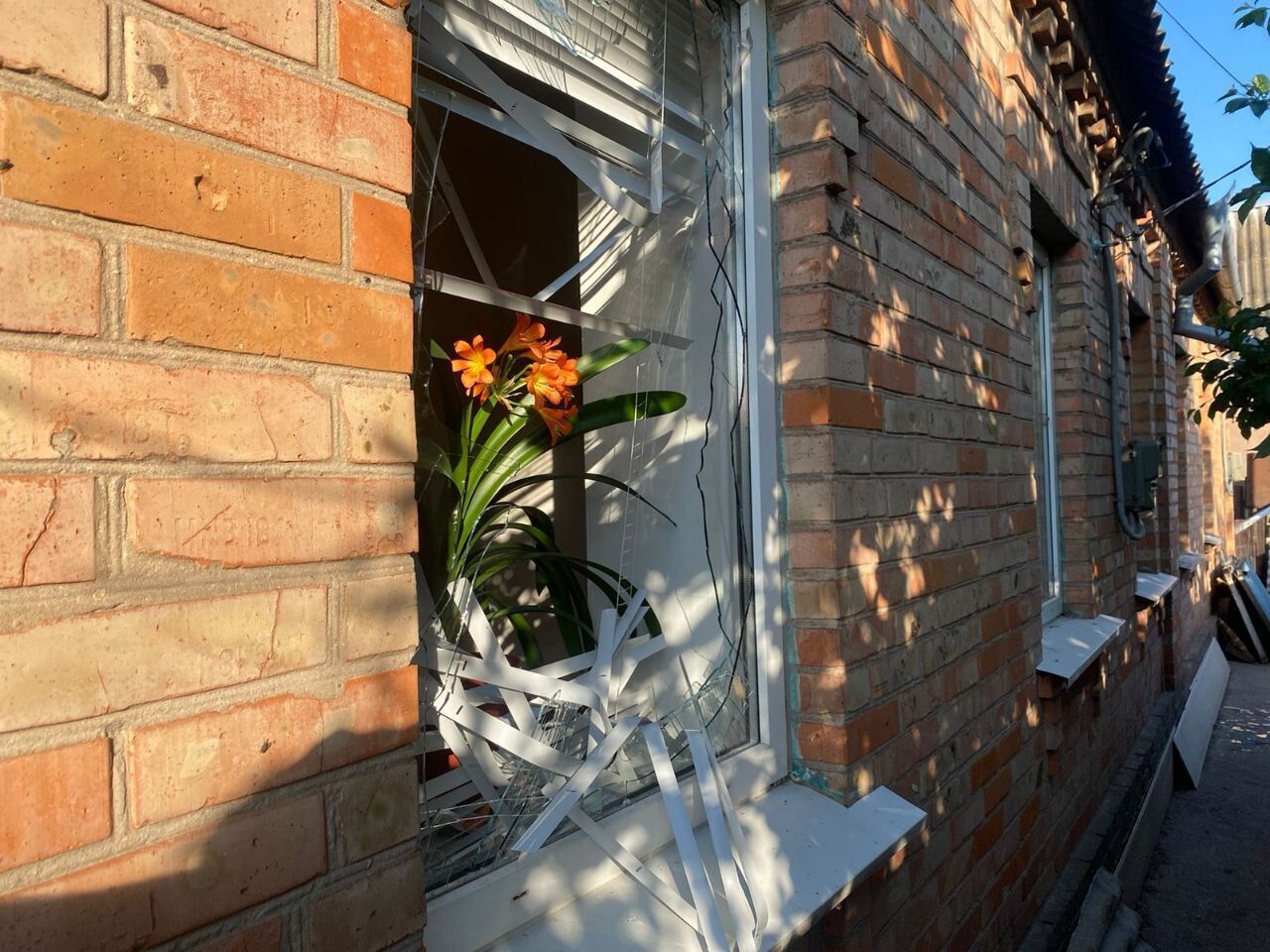 Квіти у вікні будинку, який зачепили осколки