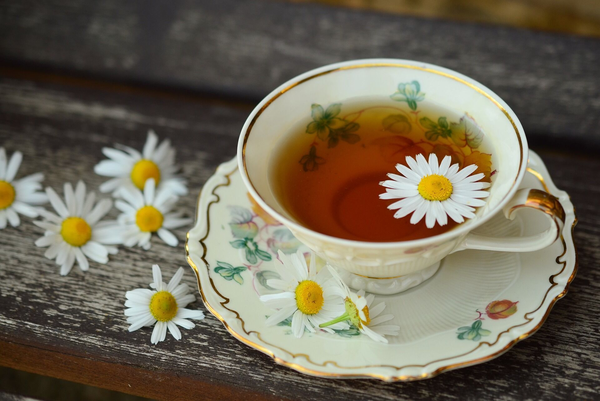 Напій від усіх хвороб: 5 найкращих лікувальних сортів трав'яного чаю