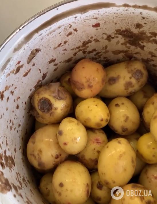 Как почистить сразу много молодого картофеля: чем не понадобится
