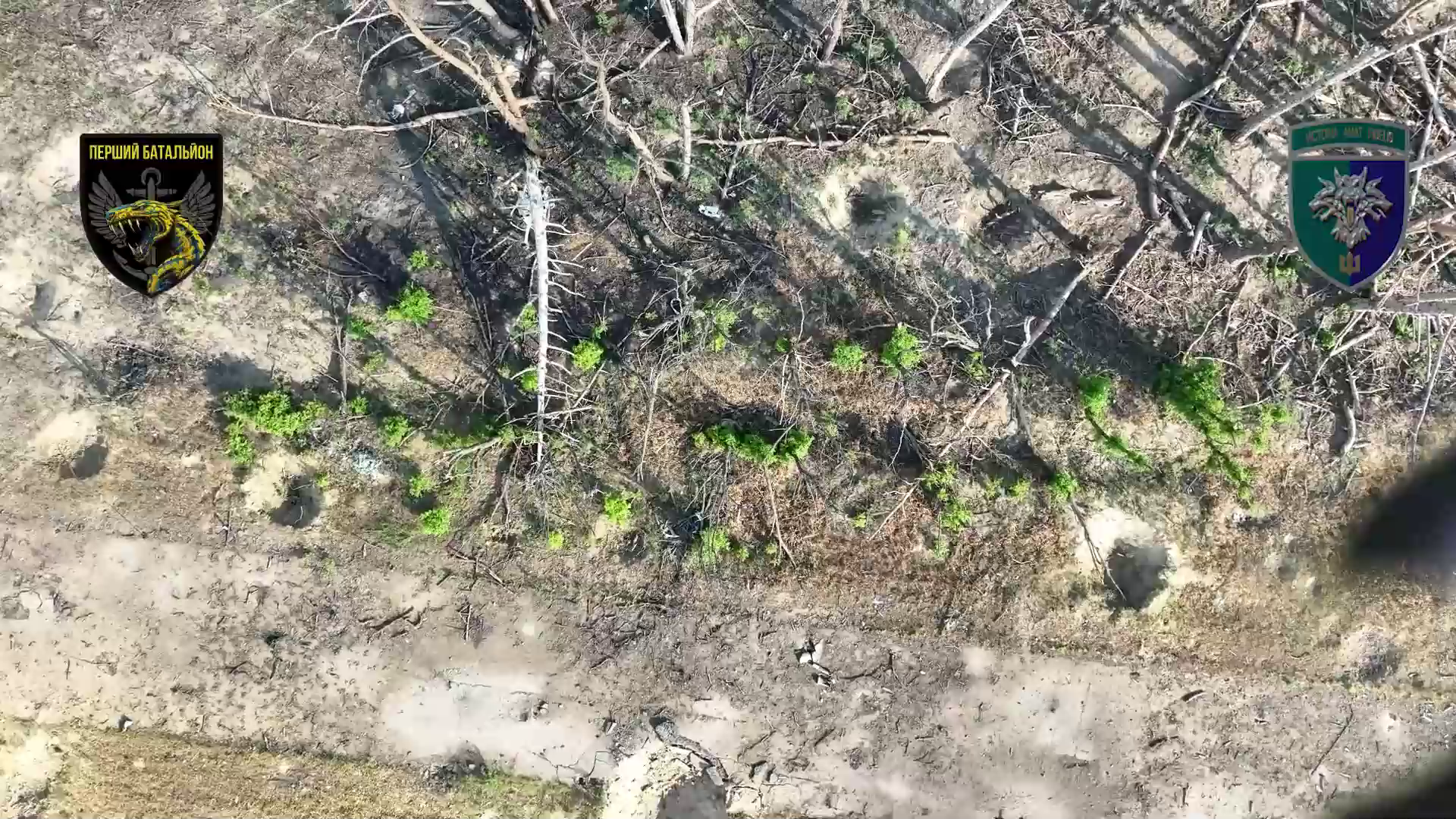 Українські захисники влаштували окупантам в Кринках пекло з дронів. Відео