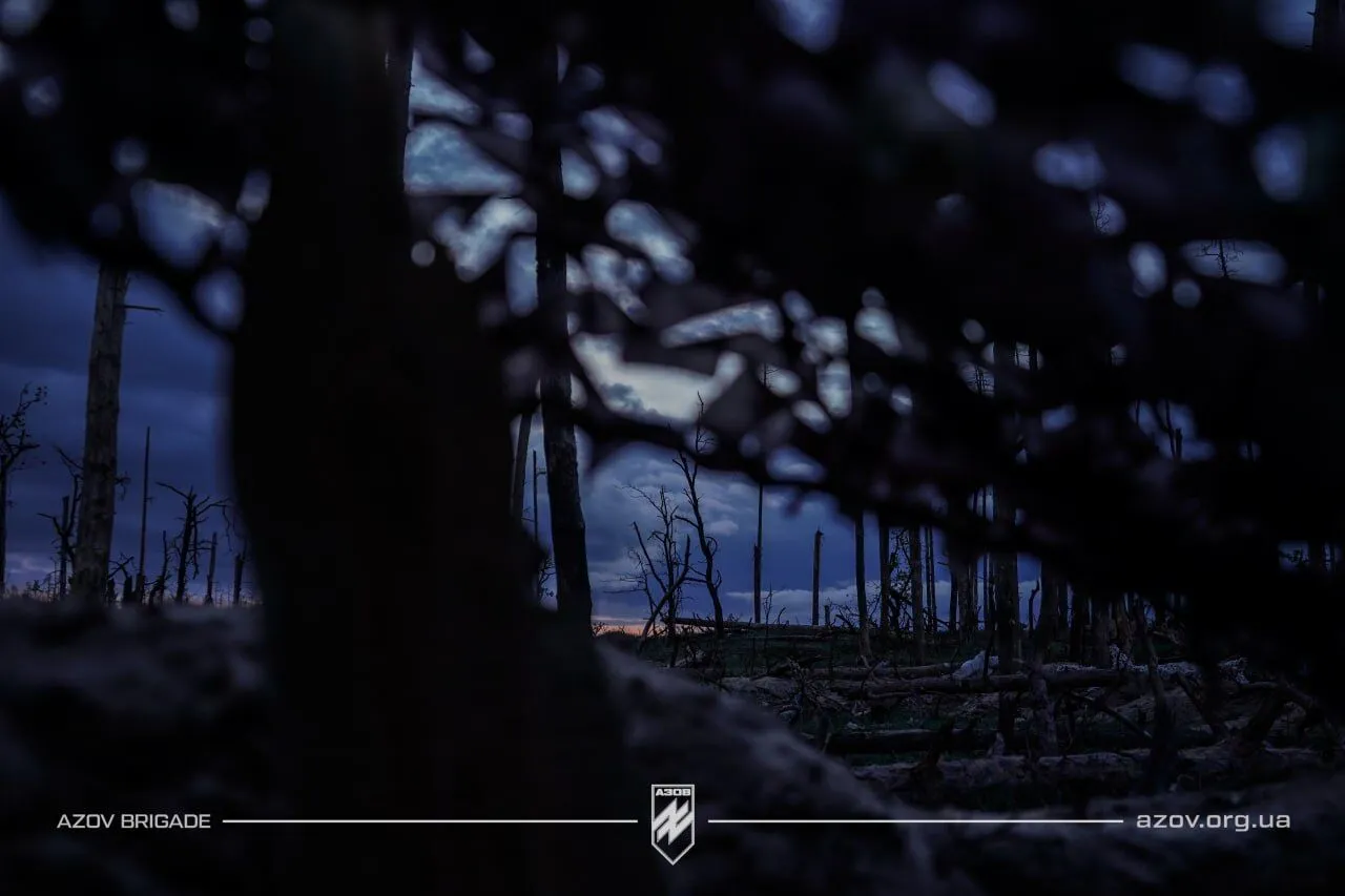 Лес, который меняется ежедневно: воины "Азова" показали, во что россияне превратили Серебрянское лесничество. Фото