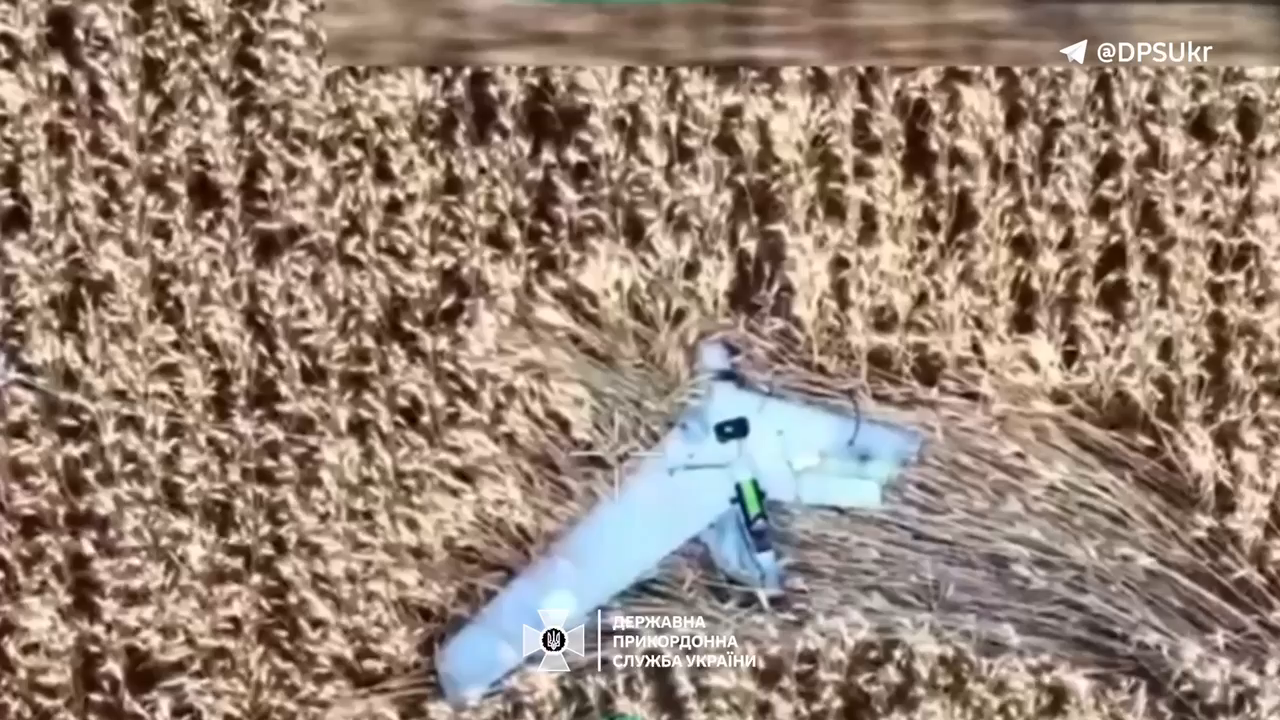 Упал в поле: пограничники FPV-дроном уничтожили вражеский разведывательный БПЛА Zala. Видео