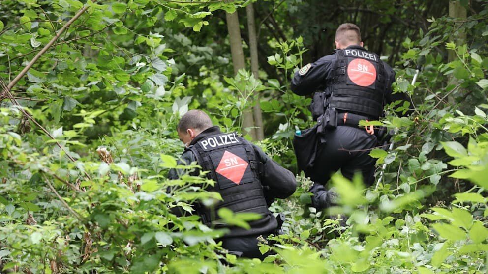 Зниклу в Німеччині 9-річну українку знайшли мертвою в лісі: з'явилися подробиці