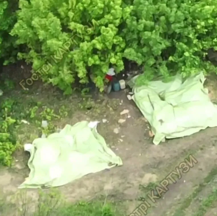 "Было – и нет": защитники Украины уничтожили полевой склад БК врага. Видео
