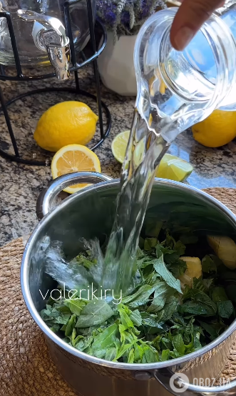 Лимонад с мятой: готовим самый популярный летний напиток