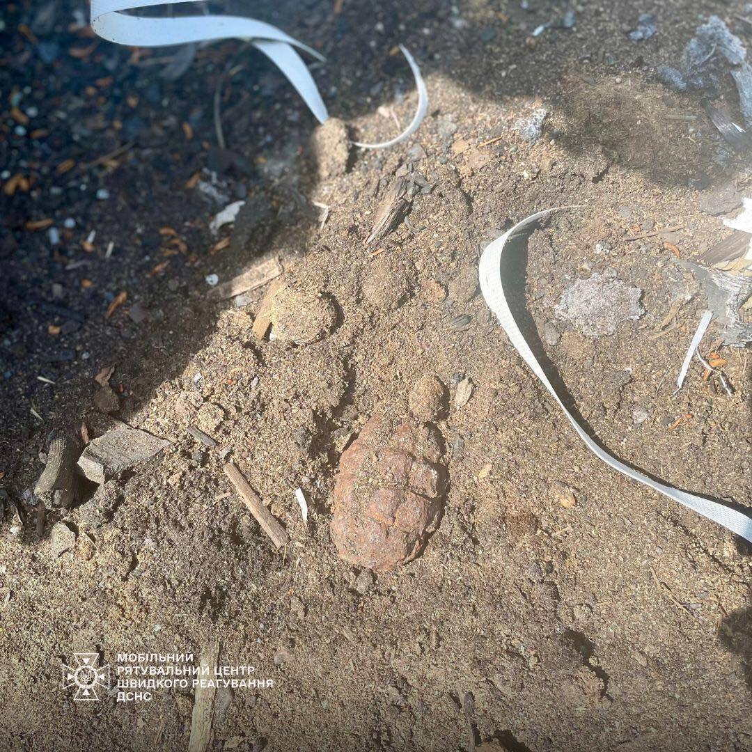 Під Києвом чоловік під час робіт викопав протипіхотну осколкову гранату. Фото